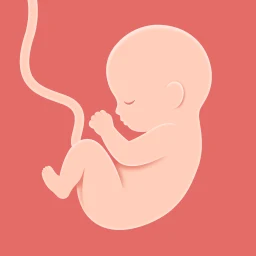 Icono de HiMommy: Embarazo y bebé
